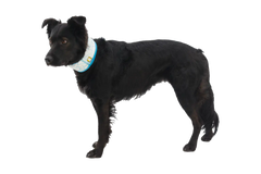 Swamp Cooler™ Cooling Neck Gaiter